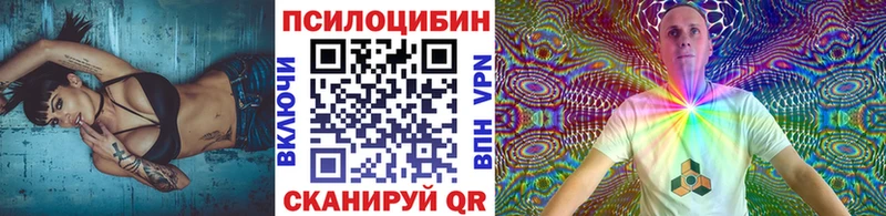 omg сайт Грозный Псилоцибиновые грибы ЛСД цена наркотик